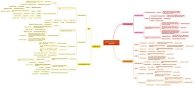 Research progress on the application of organoids in gynecological tumors